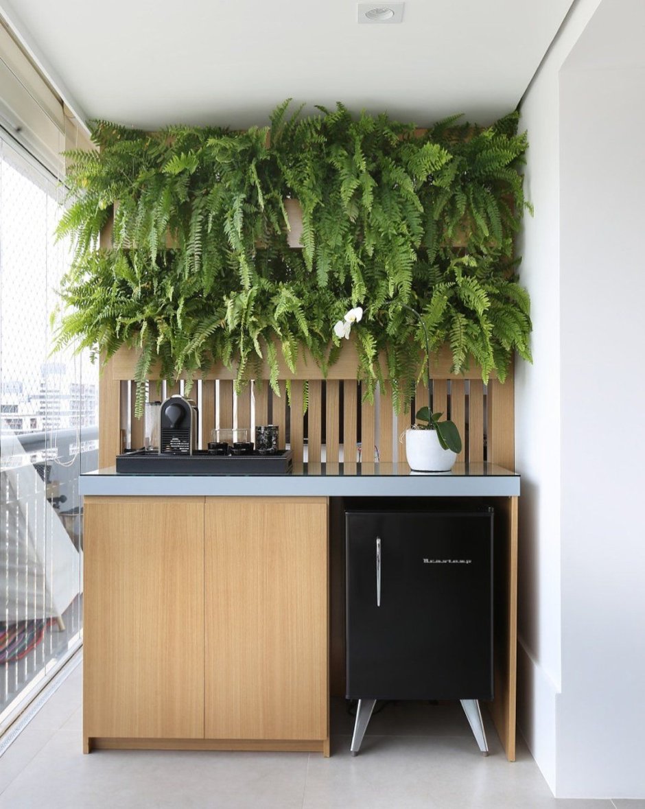 Зелень на балконах Москвы