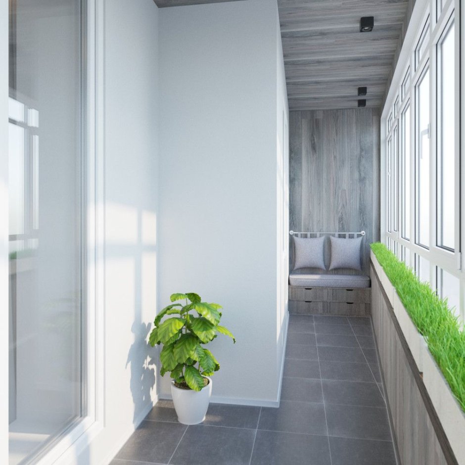 Помидоры Пуговка в горшках на подоконнике