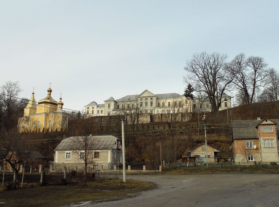 Замок Вишневецких