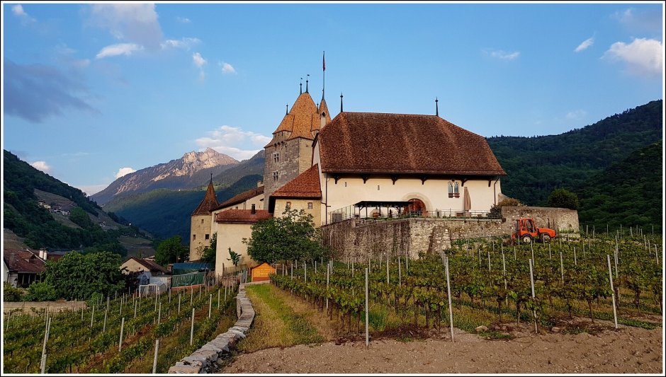 Замок Эгль Швейцария внутри