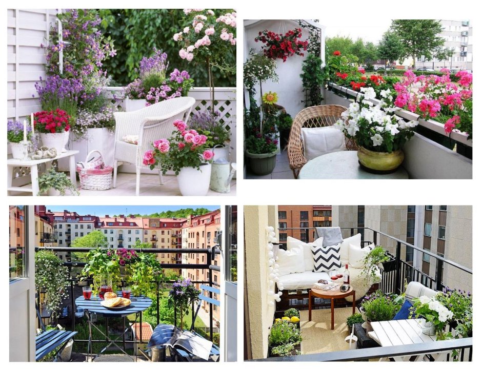 Пинтерест балкон с растениями