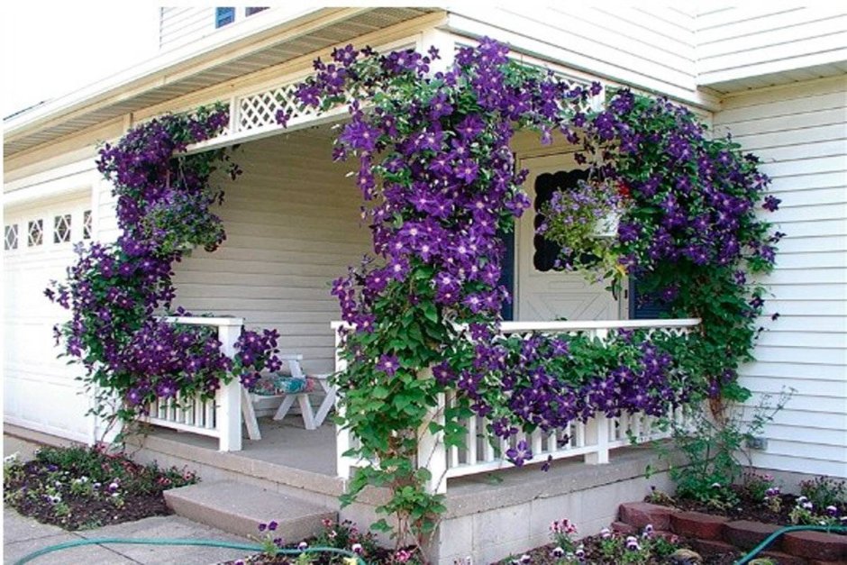 Красивые цветы в балконных ящиках