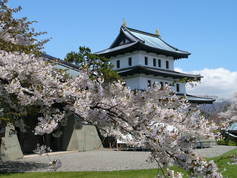 Замок Хиросаки Сакура