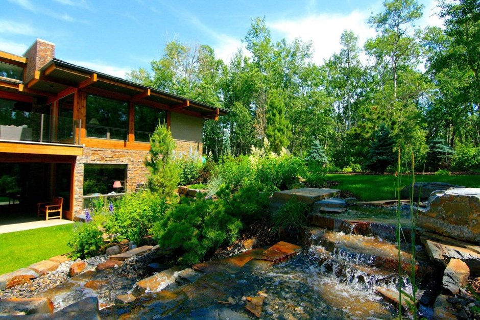 Проект участка с лесом