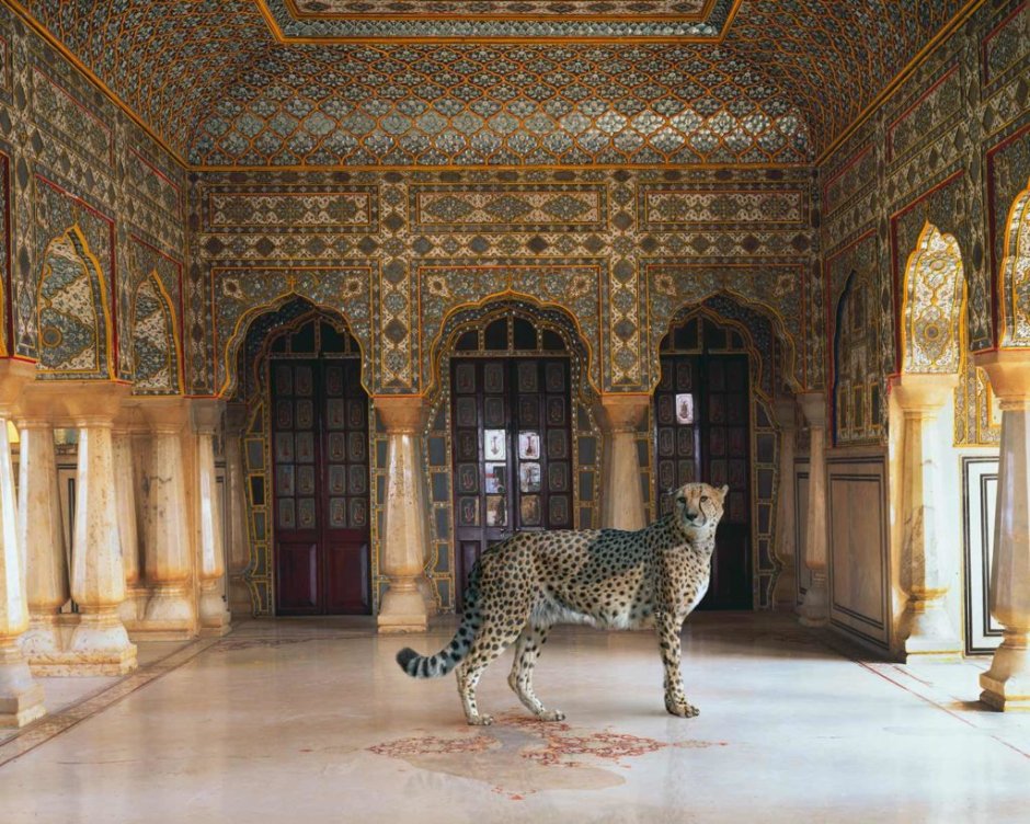 Карен Кнорр фотограф