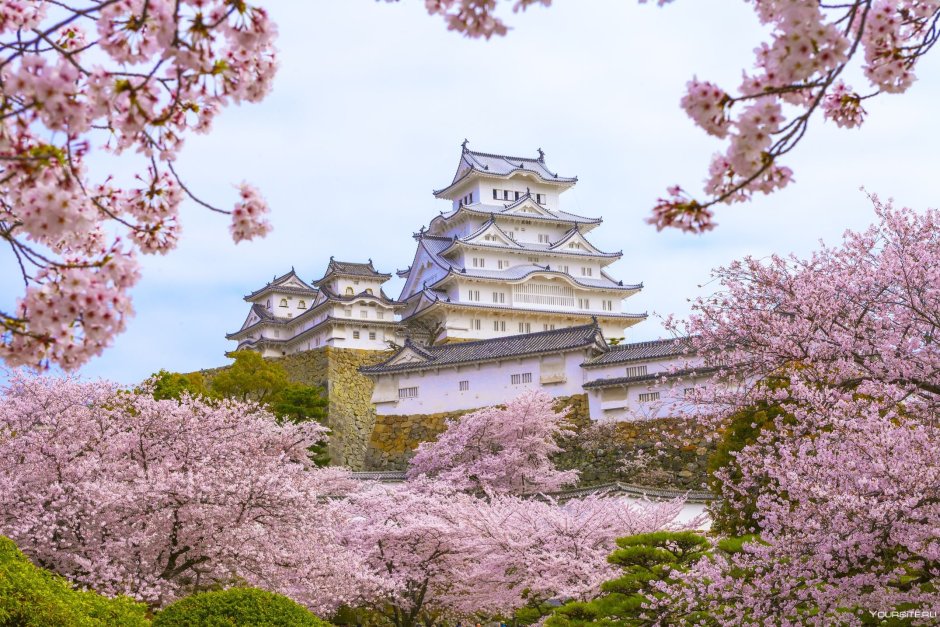 Замок белой Цапли (Химэдзи), Япония
