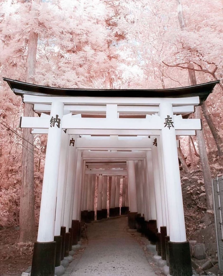 Храм Японии aesthetic
