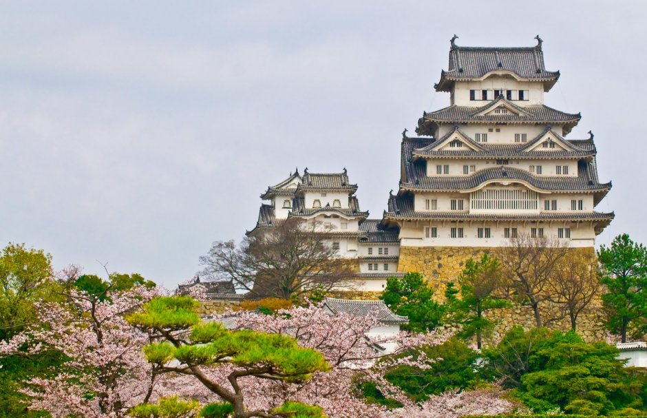 Замок белой Цапли в Японии рисунок