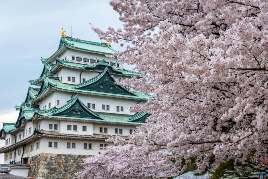 Замок Химэдзи достопримечательности Японии