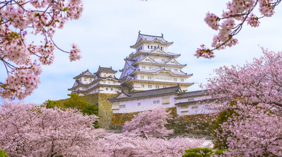 Замок Химэдзи Япония интересные факты