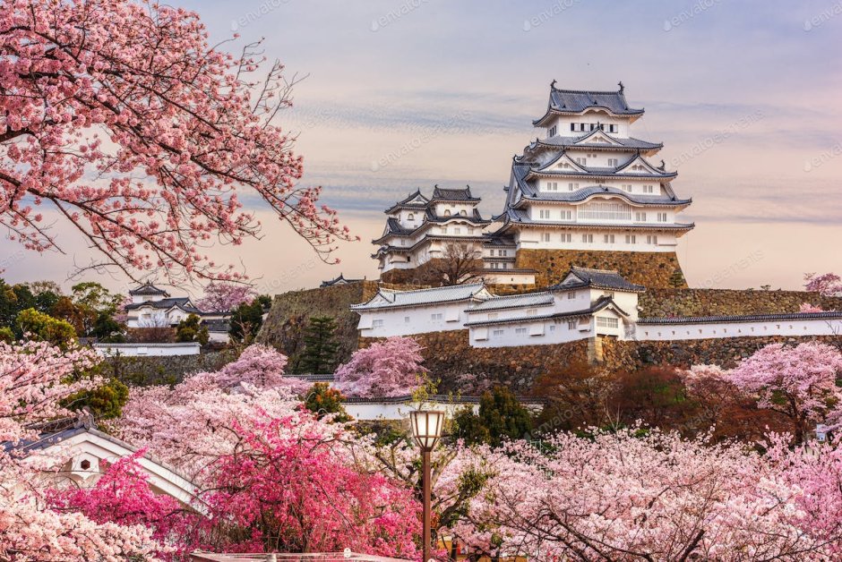 Himeji Castle