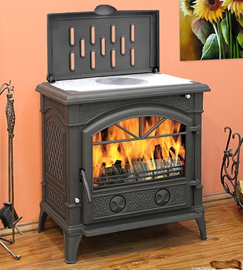 Дровяная печь-камин Fireplace hordo
