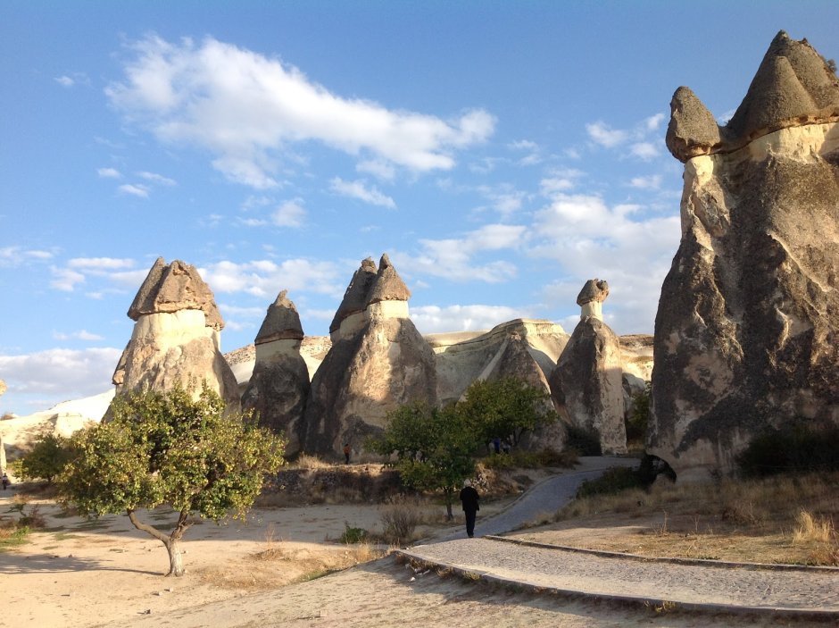 Замки Луары Шамбор архитектура
