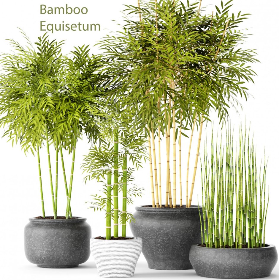 Дерево искусственное "бамбук"