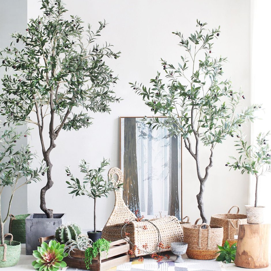 Оливковое дерево декор