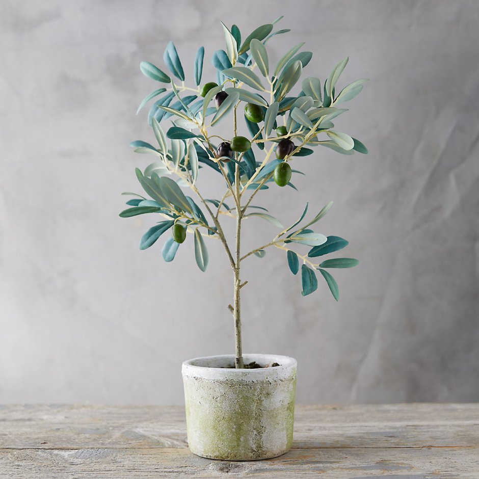 /Faux-Olive-Tree/s441742