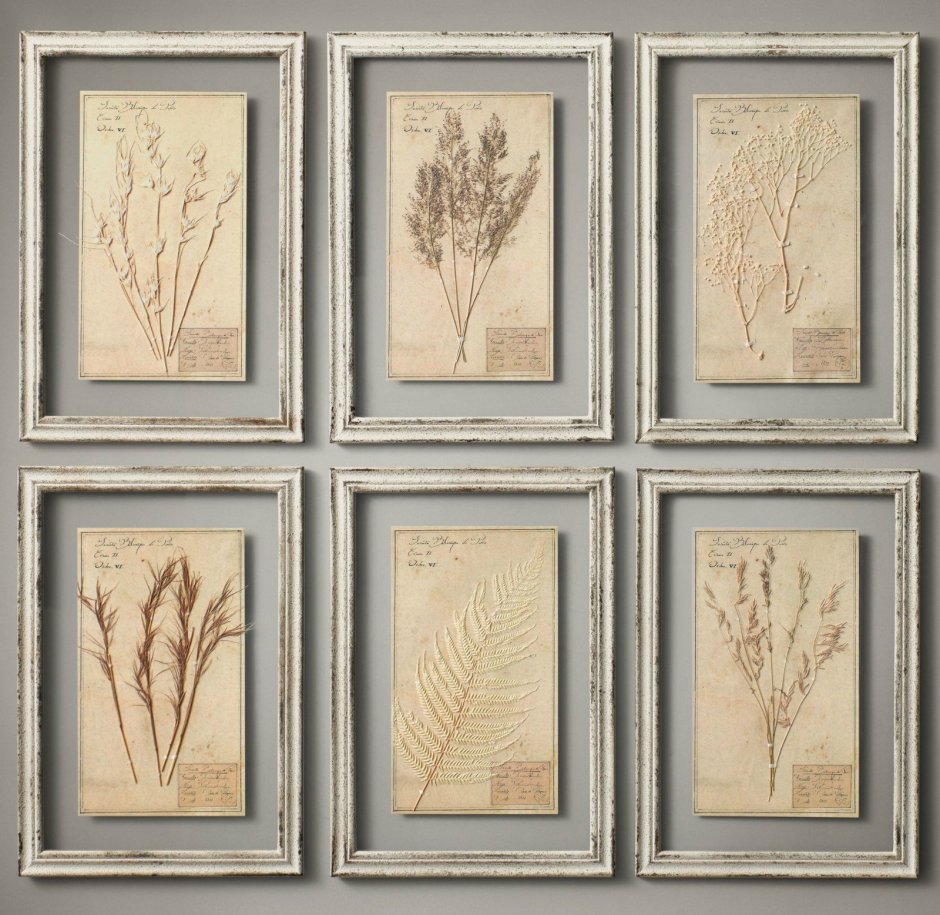 Гербарий Restoration Hardware