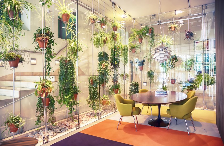 Urban Jungle интерьер Калатея