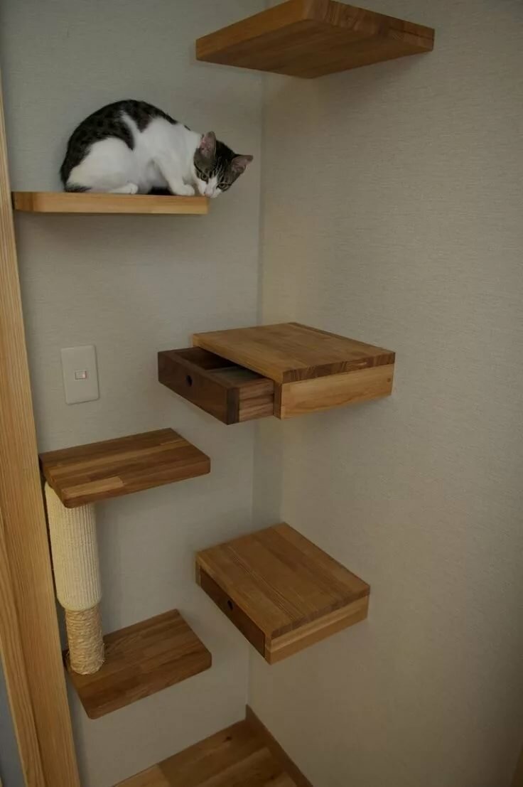 Интерьер квартиры с котом