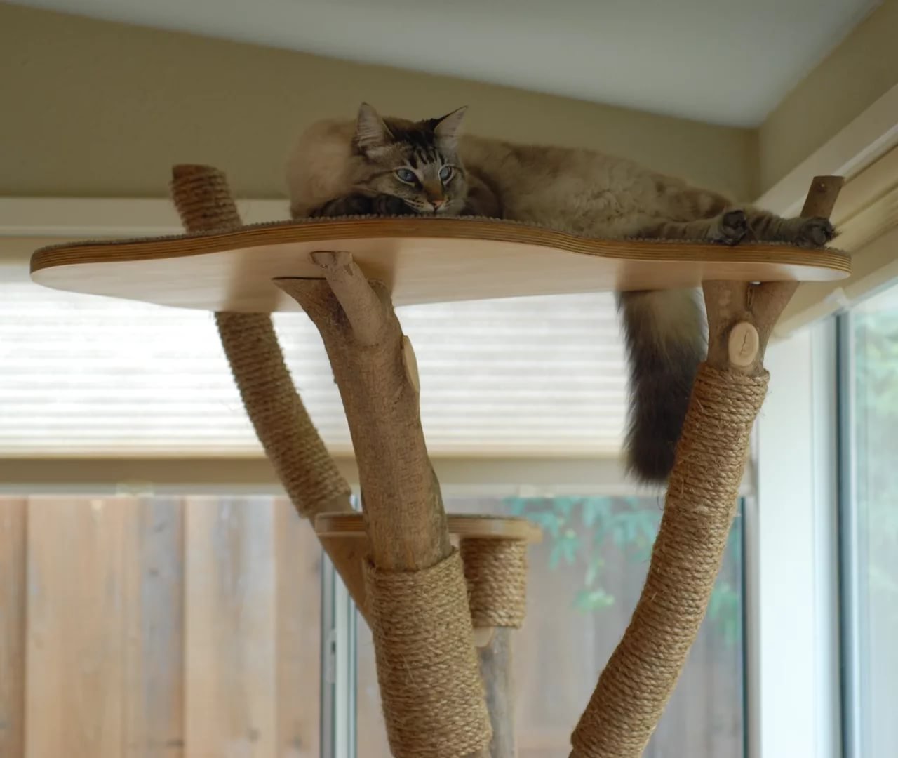 Сделать когтеточку для кошки в домашних условиях. Когти дралка для кошек. Когтеточка из дерева. Когтеточка дерево для кошек. Когтеточка из коряги.