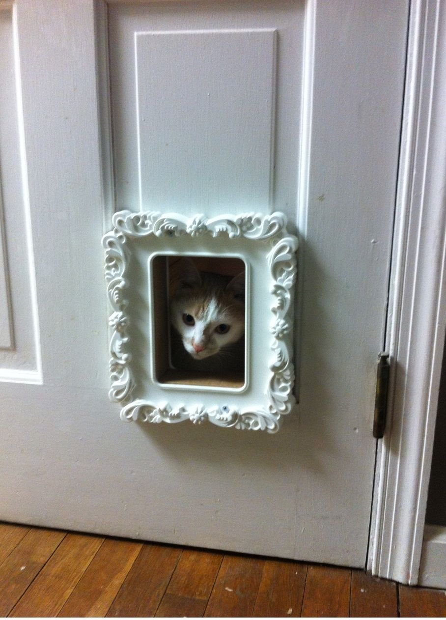 Дверь для кошки в двери