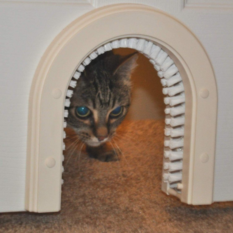 Дырка в двери для кошки