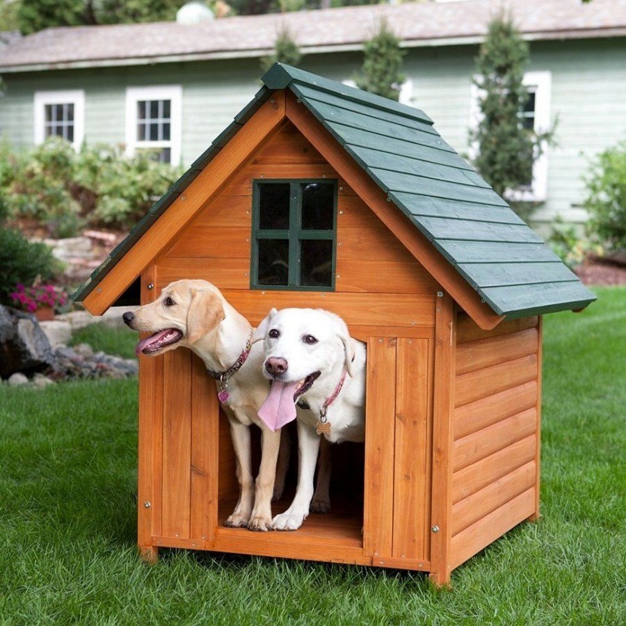 Домики для домашних собак