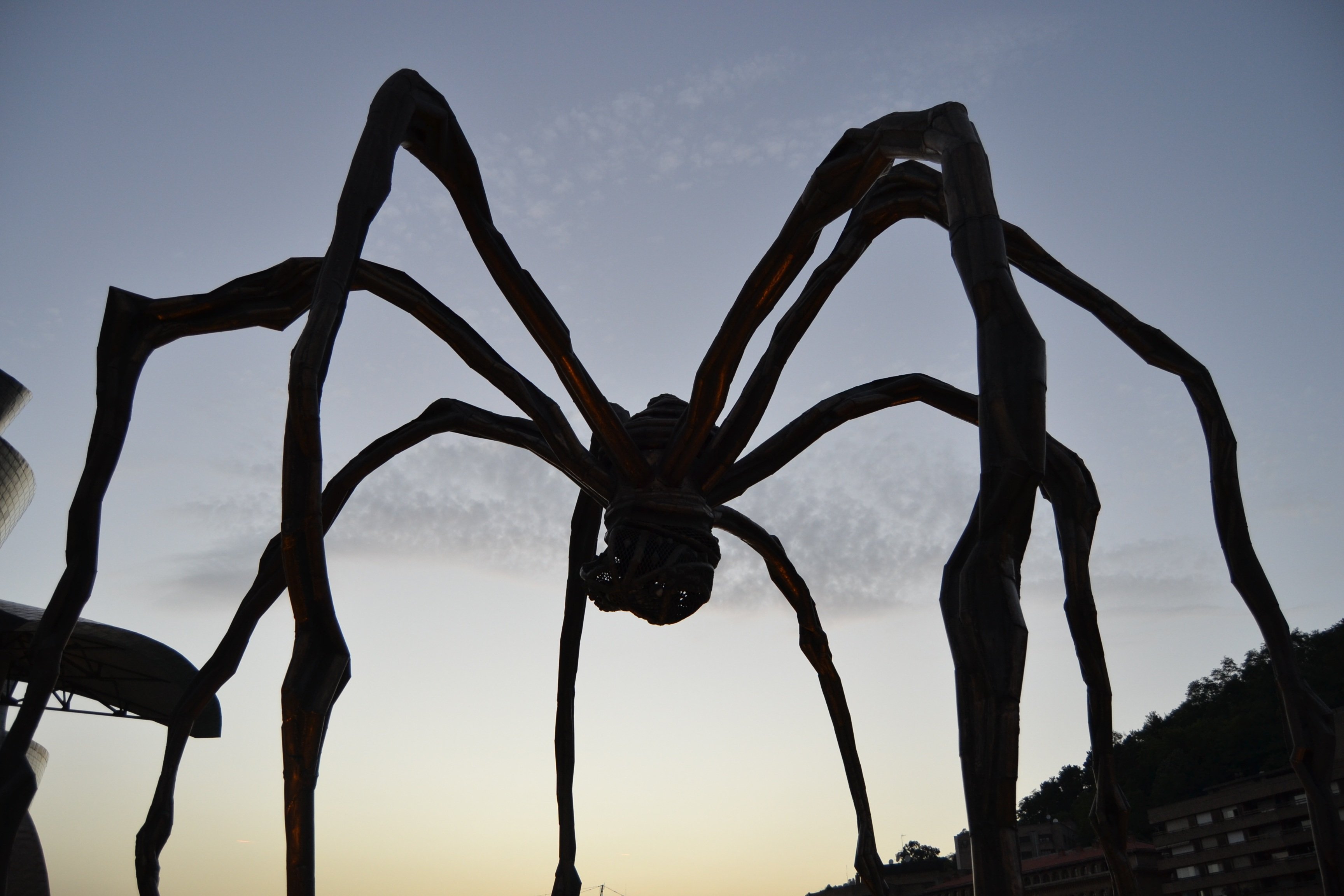 Огромный паук на дереве: 62 фото