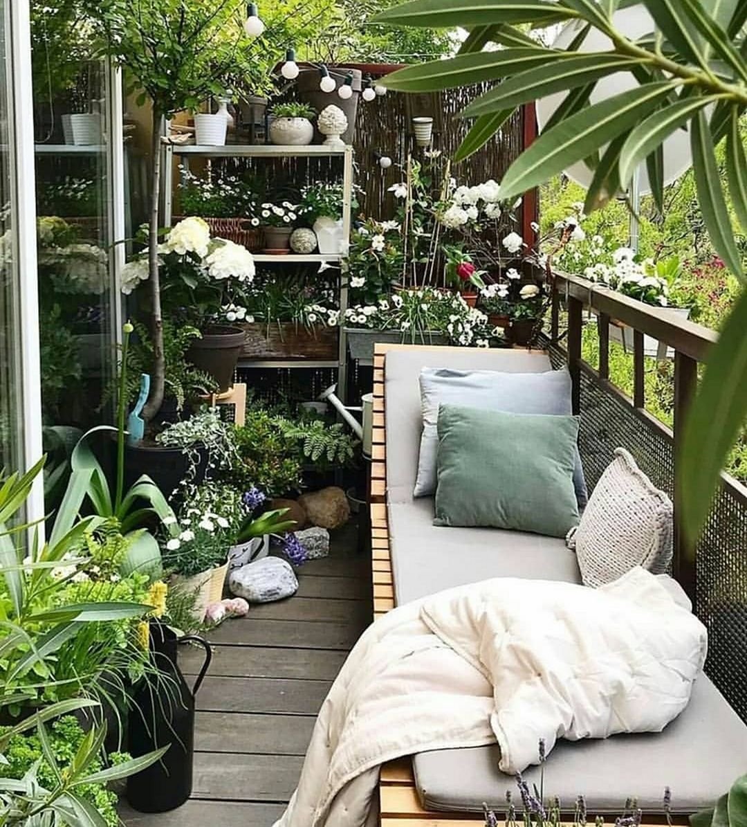 Balcony gardening. Сад на теплом балконе. Зеленый Оазис на балконе. Зимний сад на балконе. Уютный балкон с растениями.