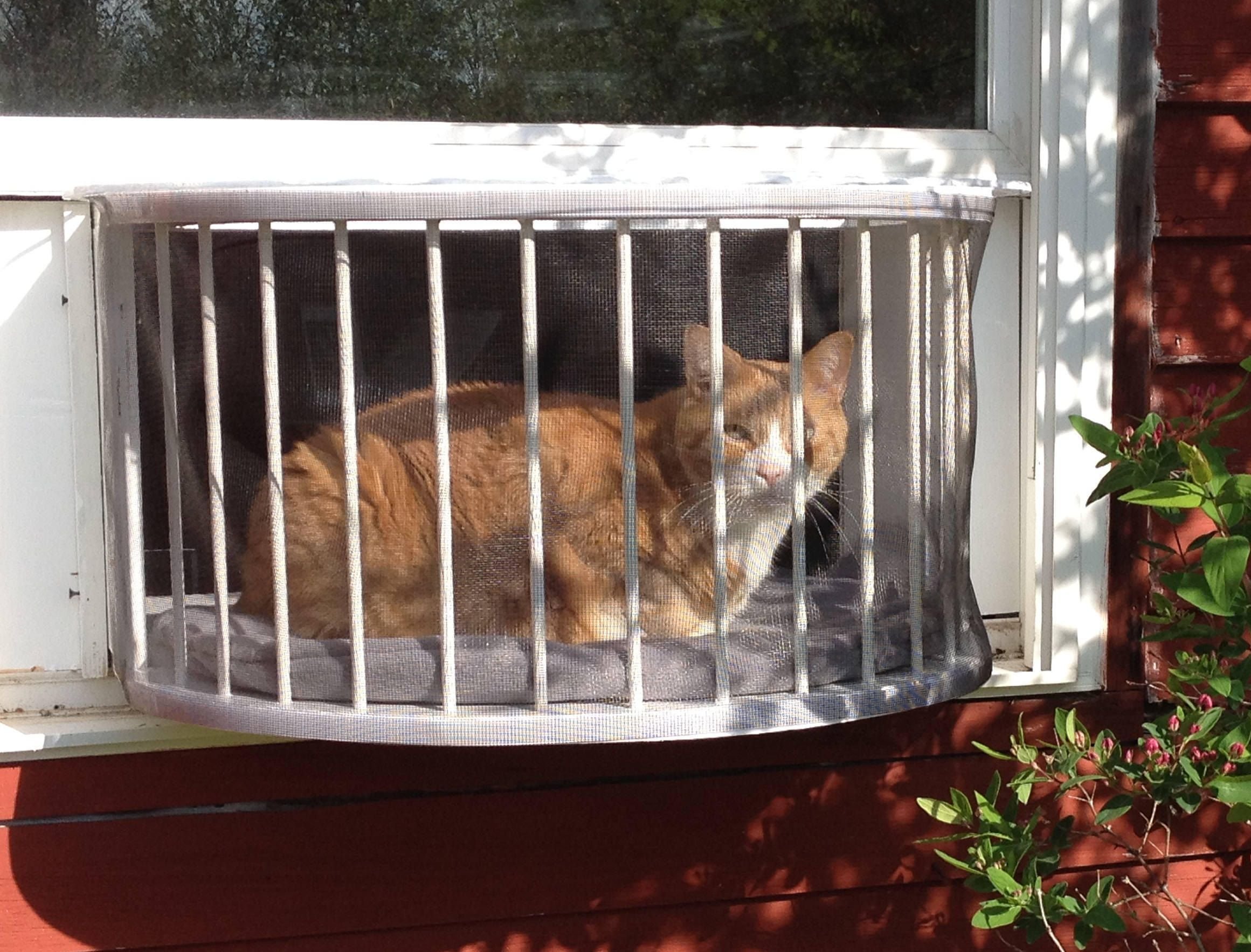 Балкончик для кота