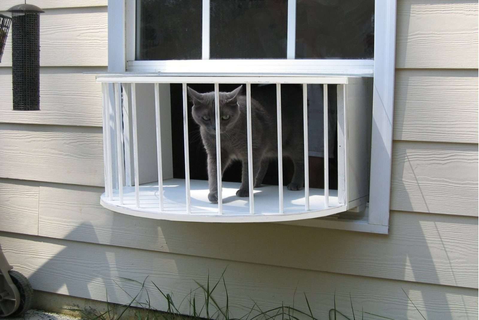 Балкончик для кошки