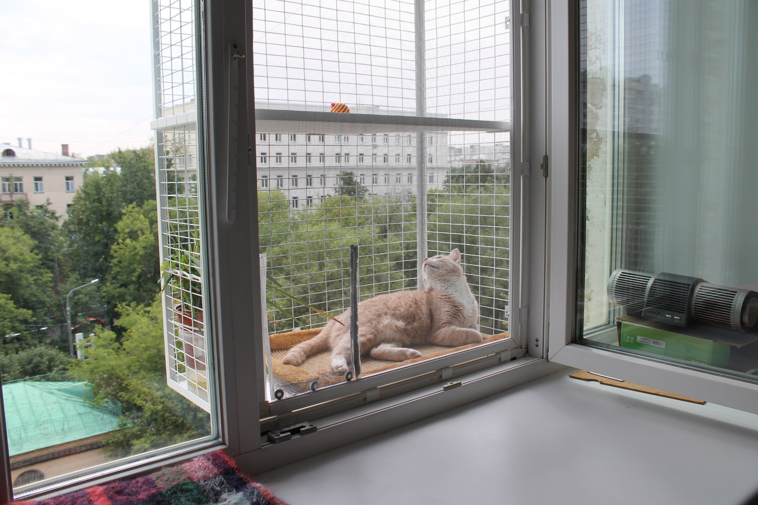 Дизайн балкона для кошек