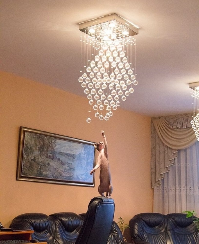 Удивительные люстры