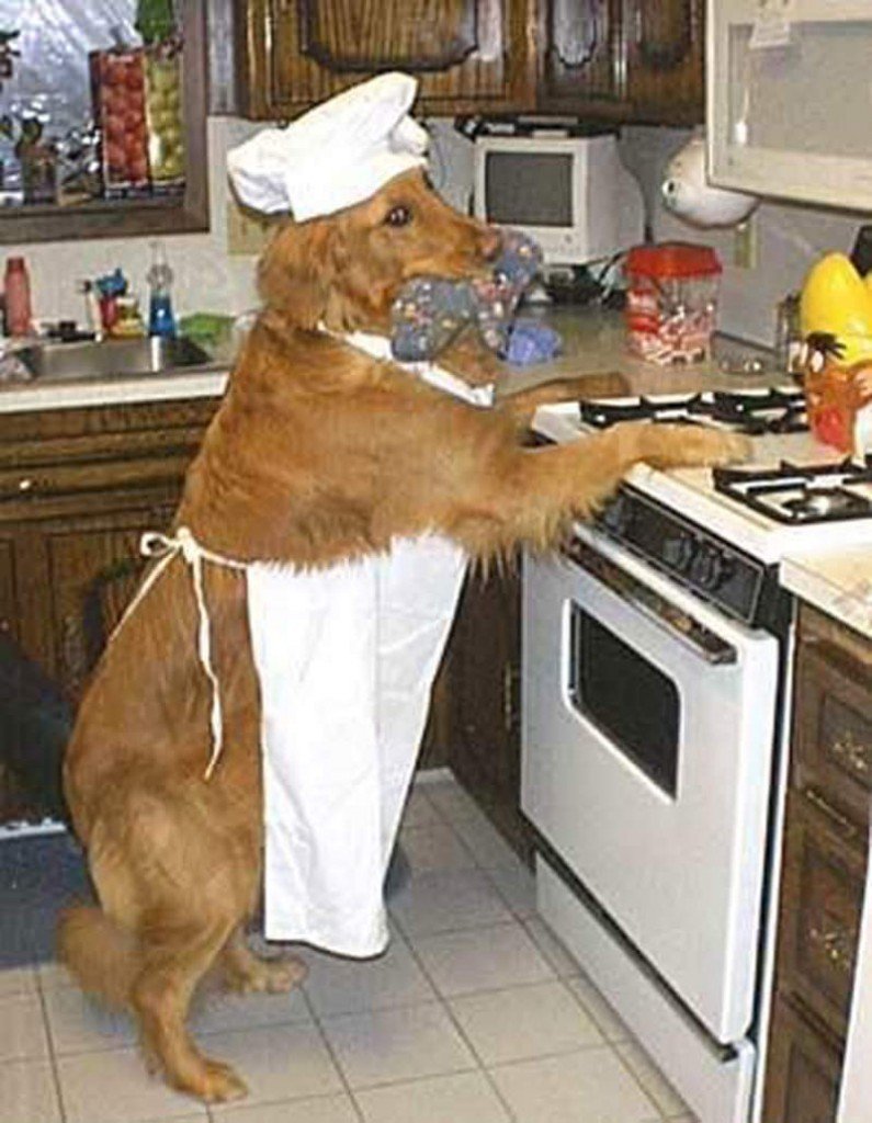 Собака на кухне