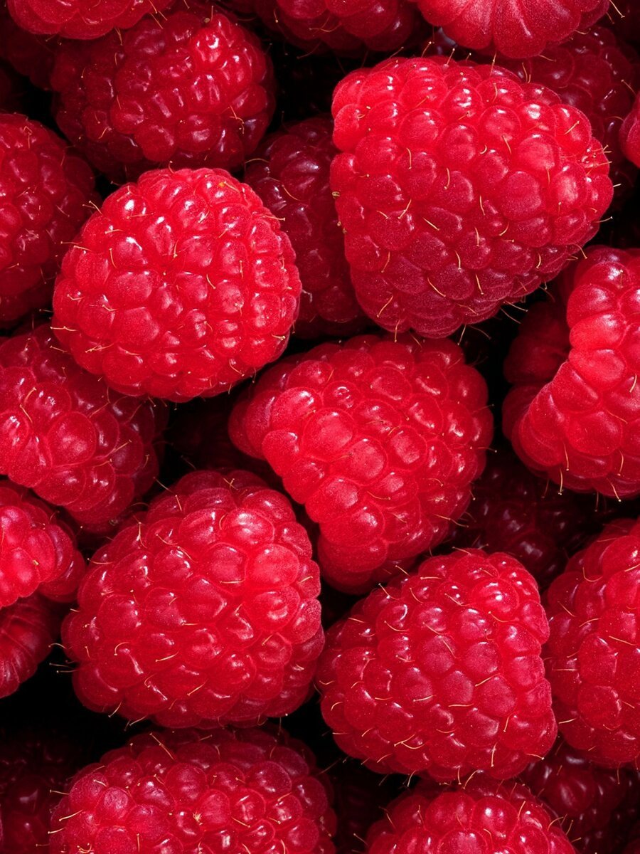 Малина фон