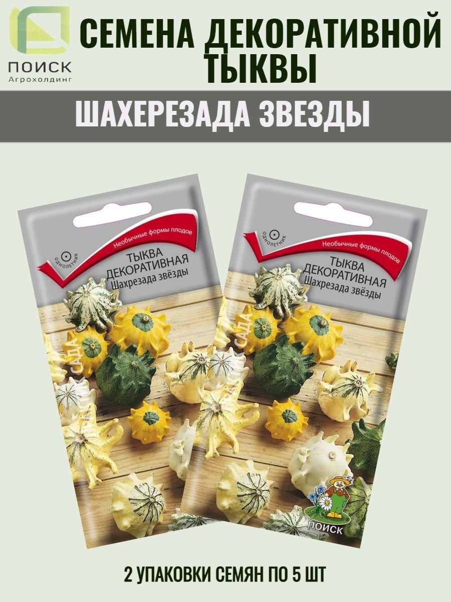 Тыква декоративная Шахрезада звезды