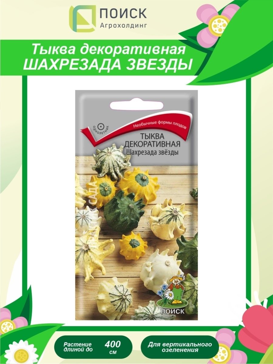 Тыква декоративная Шахрезада звезды