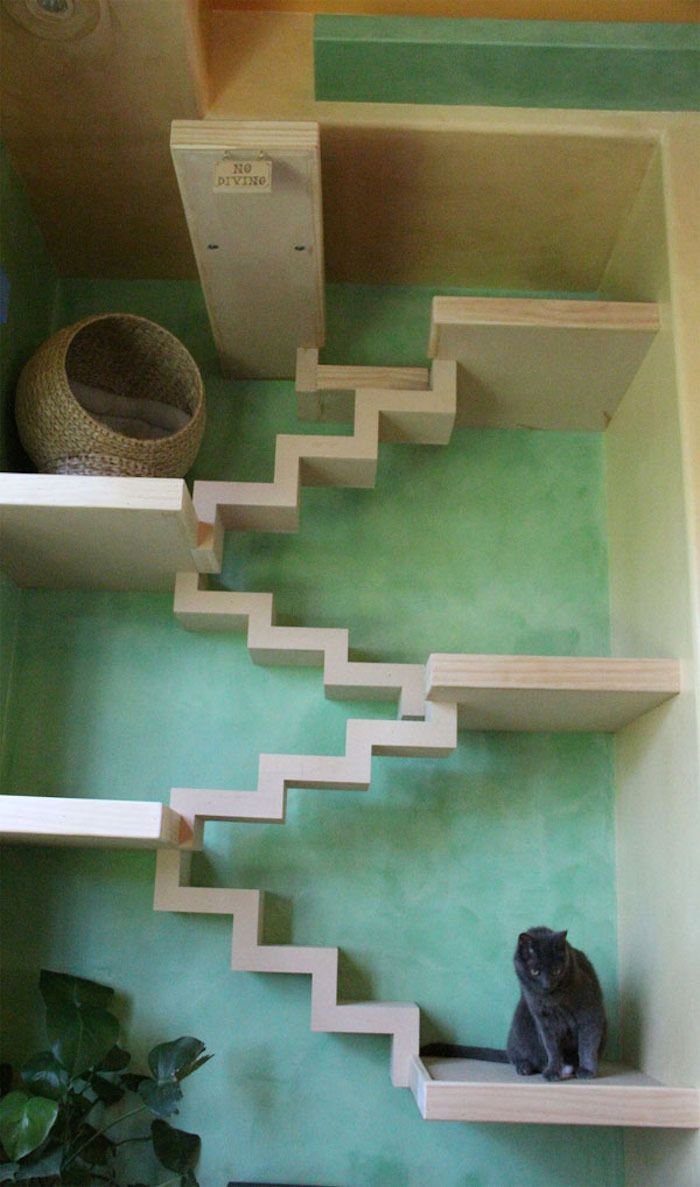 Лестница для кошек