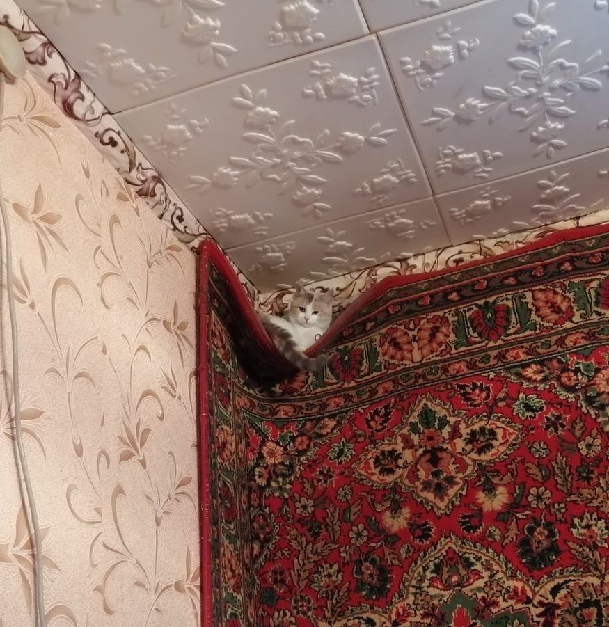 Крепежные крючки для подвеса