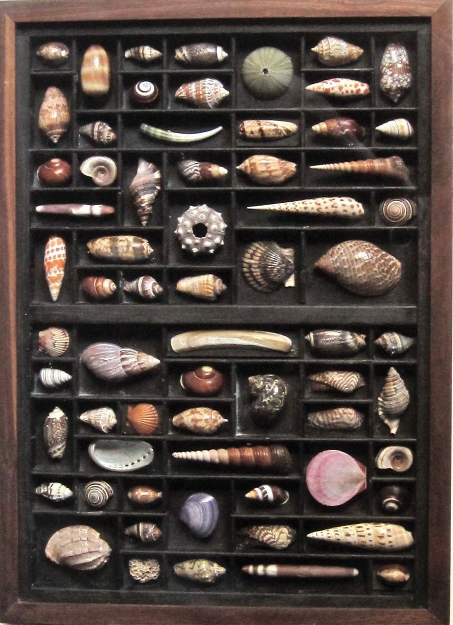 стеллаж для коллекции камней