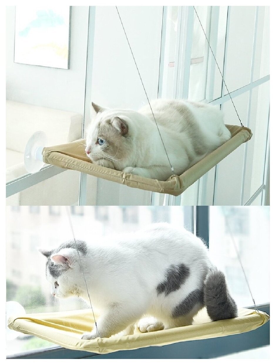 Лежак для кота на присосках