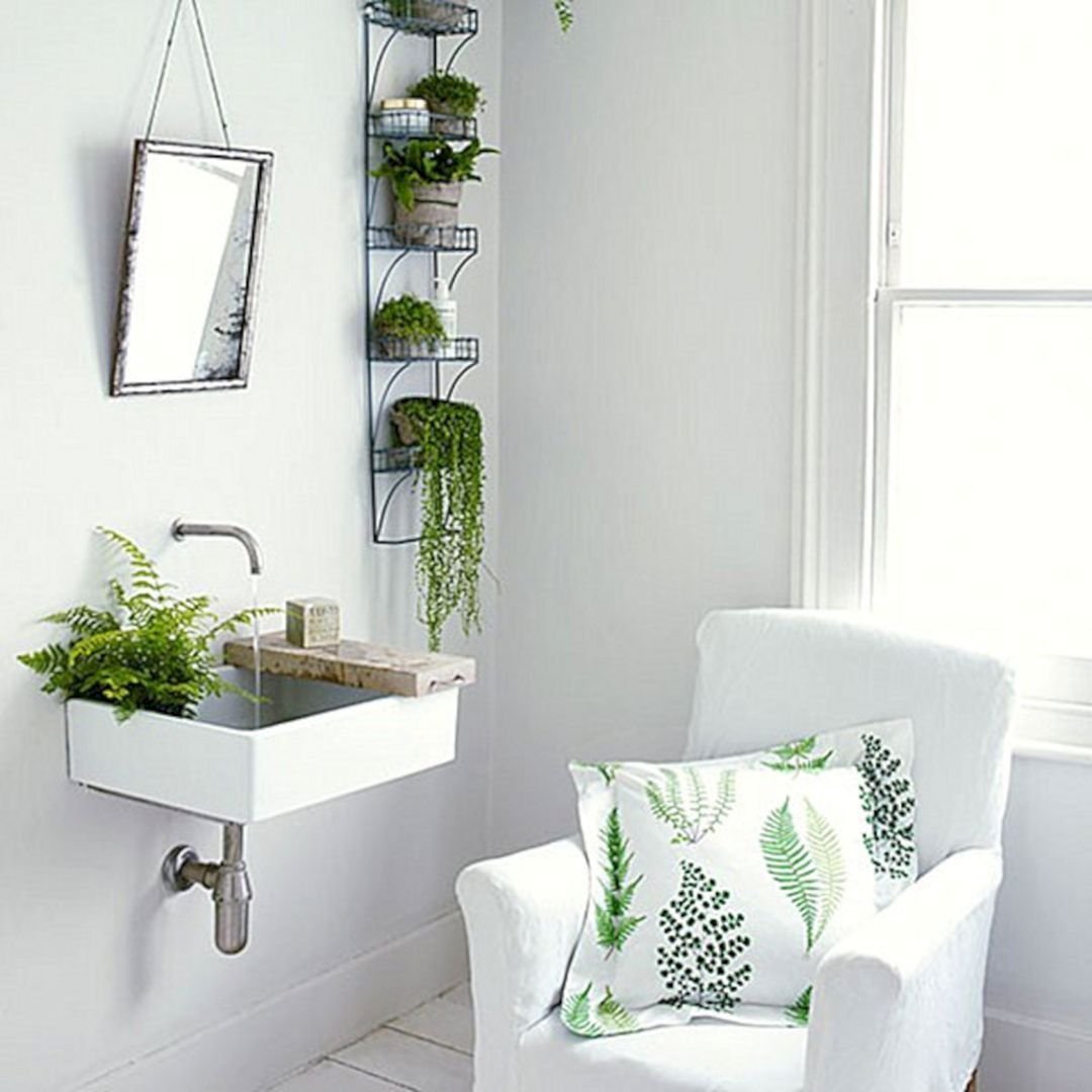 Цветы в ванной без окон. Растения в интерьере. Ванная комната с растениями. Растения в интерьере ванной. Комнатные растения в ванной.