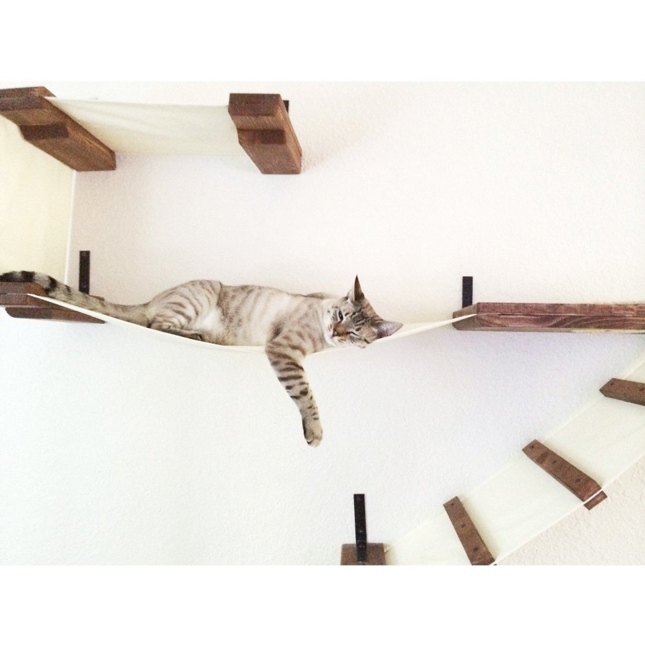 Полка для кошек на стену
