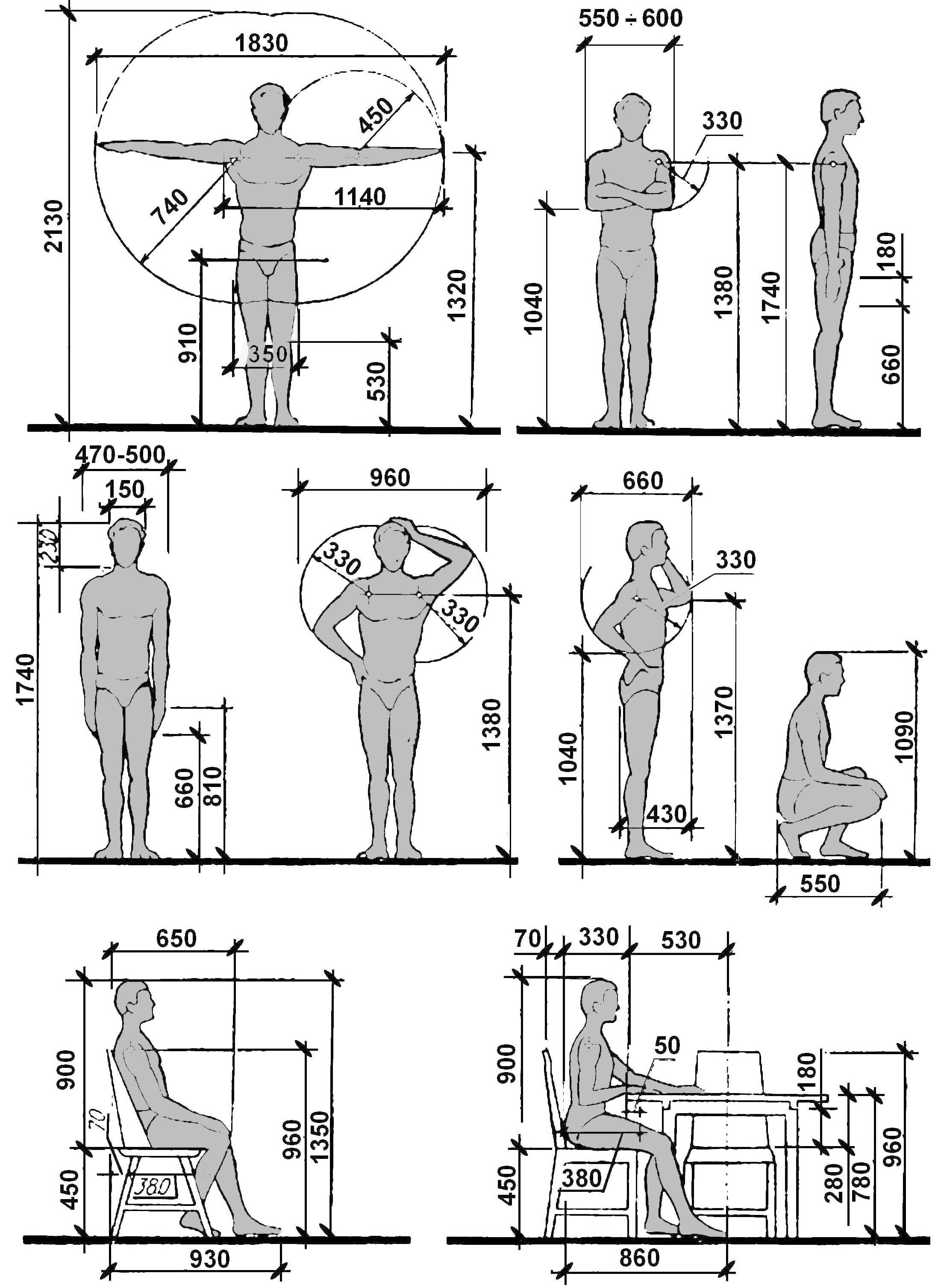 эргономика сидящего человека размеры. антропометрические антропометрические данные. антропометрия человека пропорции. эргономика сидящего человека. сидит размеры.