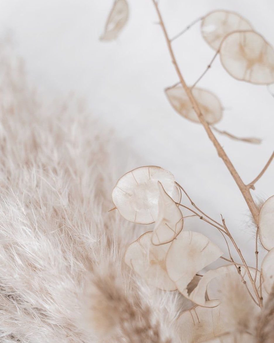 Ткань 1703 Pearl Linen,