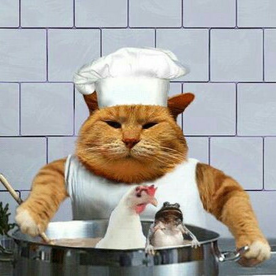 Кот на кухне готовит