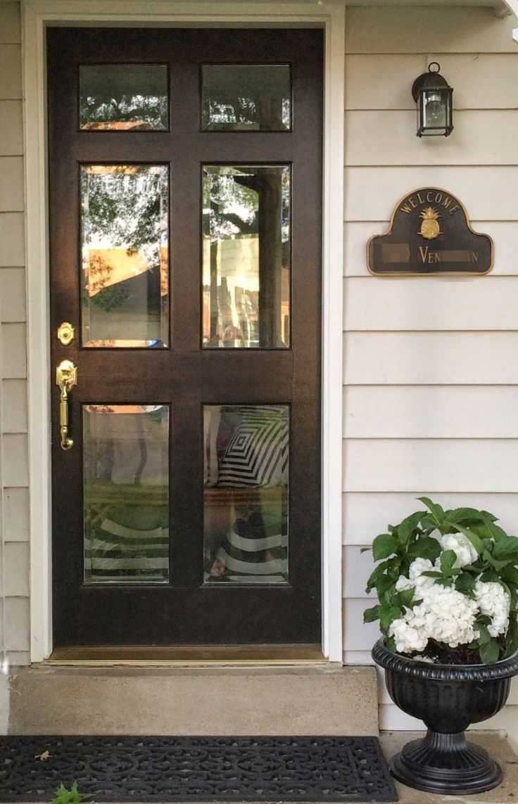 Стеклянная входная дверь для загородного дома