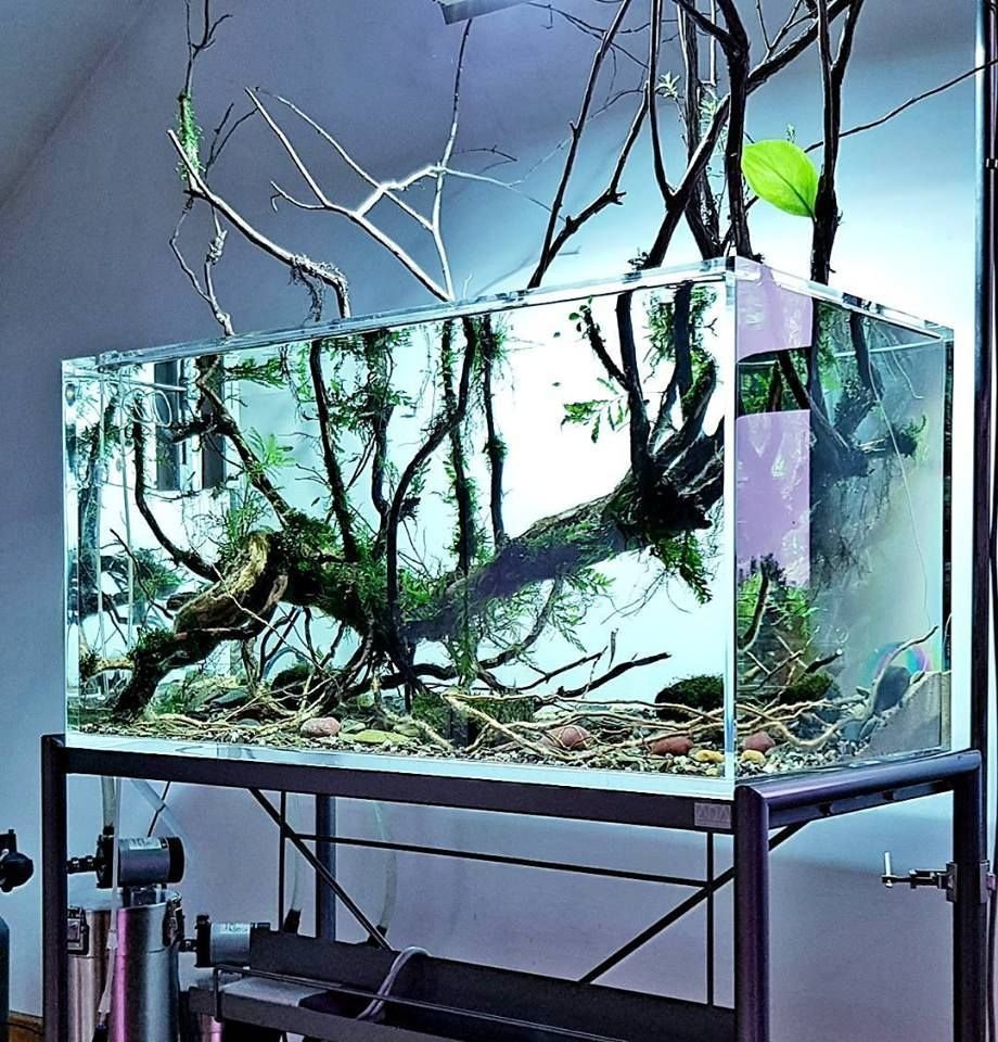 Дизайнерский аквариум