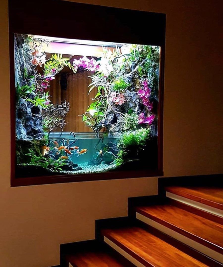 Аквариум палюдариум