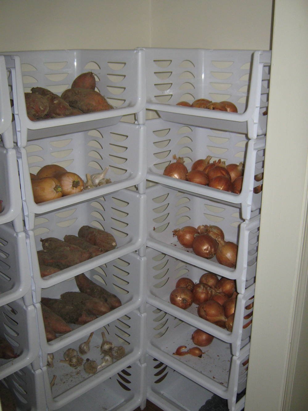 полки для хранения овощей в погребе
